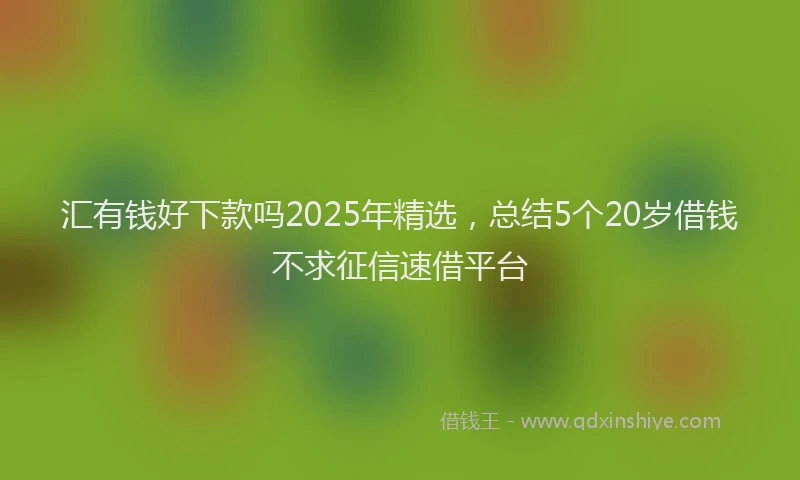 汇有钱好下款吗2025年精选，总结5个20岁借钱不求征信速借平台