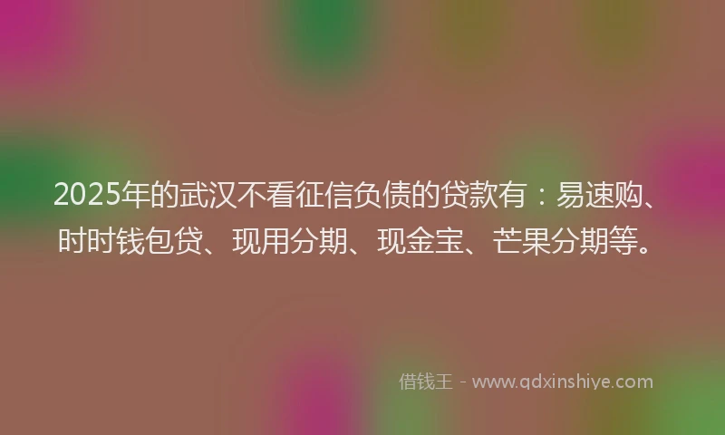 2025年的武汉不看征信负债的贷款有：易速购、时时钱包贷、现用分期、现金宝、芒果分期等。