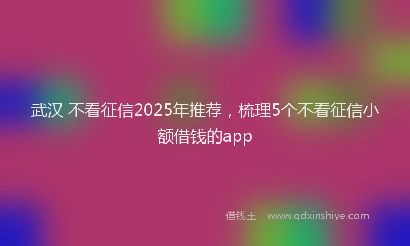武汉 不看征信2025年推荐，梳理5个不看征信小额借钱的app