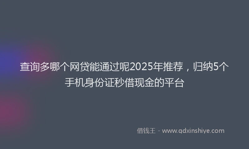 查询多哪个网贷能通过呢2025年推荐，归纳5个手机身份证秒借现金的平台