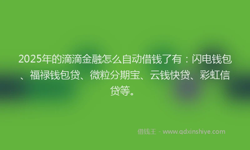2025年的滴滴金融怎么自动借钱了有：闪电钱包、福禄钱包贷、微粒分期宝、云钱快贷、彩虹信贷等。