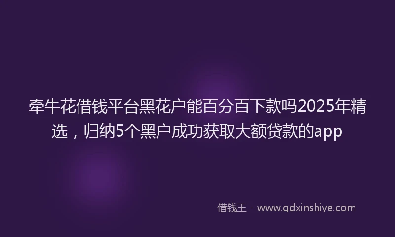 牵牛花借钱平台黑花户能百分百下款吗2025年精选，归纳5个黑户成功获取大额贷款的app