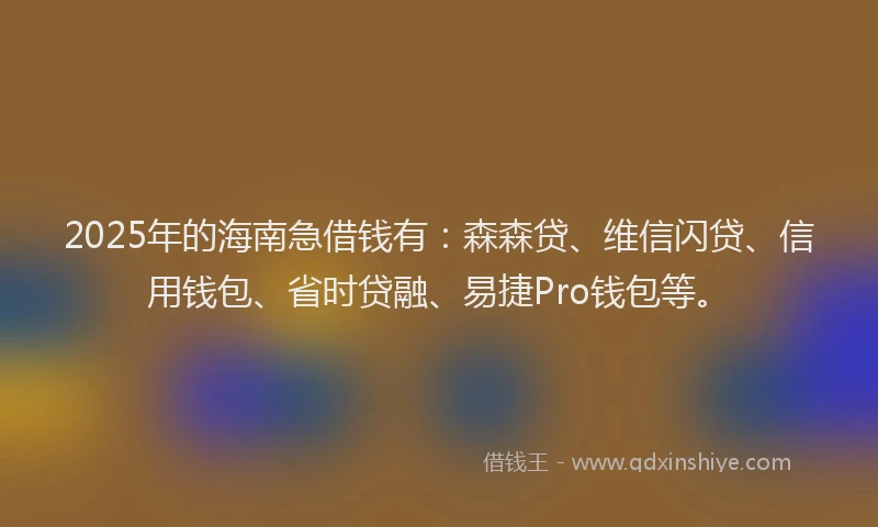 2025年的海南急借钱有：森森贷、维信闪贷、信用钱包、省时贷融、易捷Pro钱包等。