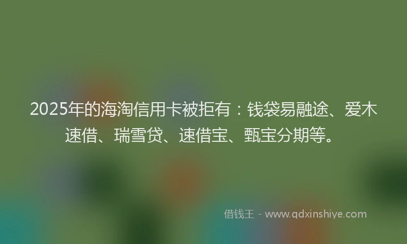 2025年的海淘信用卡被拒有：钱袋易融途、爱木速借、瑞雪贷、速借宝、甄宝分期等。