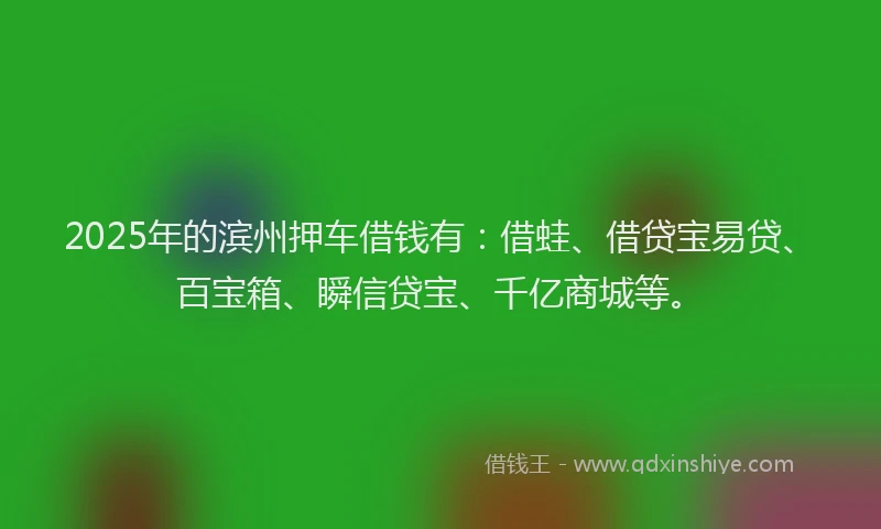 2025年的滨州押车借钱有：借蛙、借贷宝易贷、百宝箱、瞬信贷宝、千亿商城等。