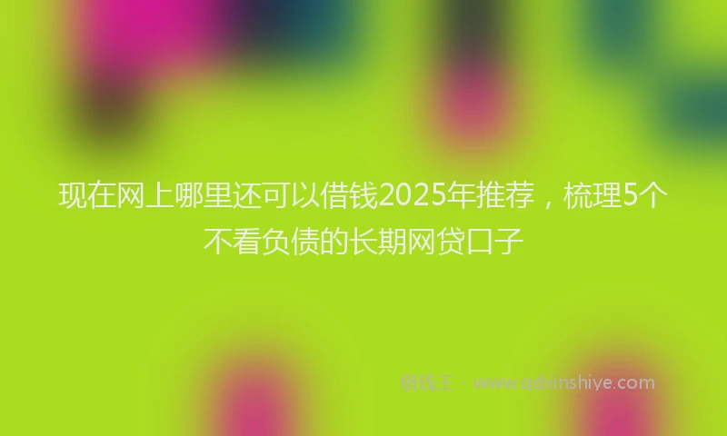 现在网上哪里还可以借钱2025年推荐，梳理5个不看负债的长期网贷口子
