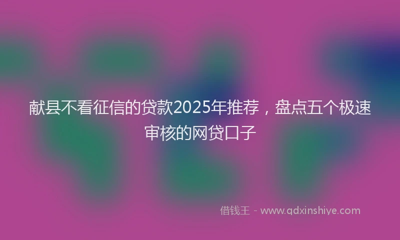 献县不看征信的贷款2025年推荐，盘点五个极速审核的网贷口子