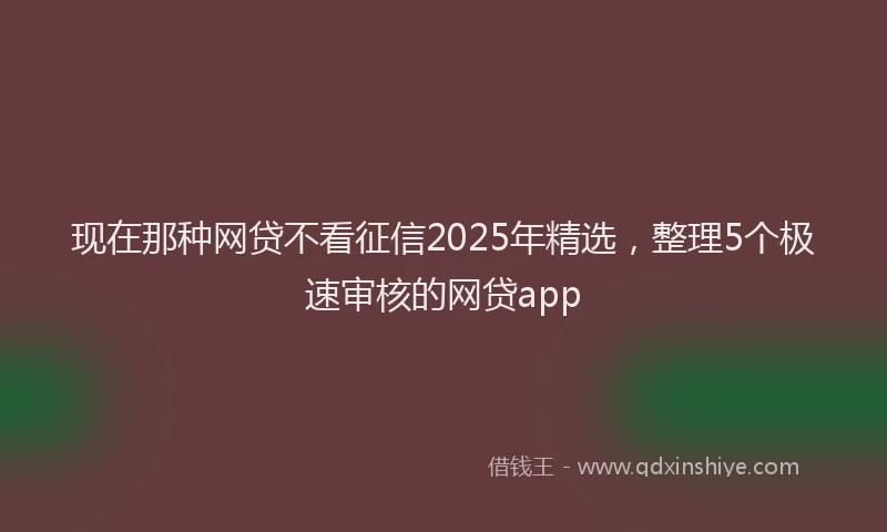 现在那种网贷不看征信2025年精选，整理5个极速审核的网贷app
