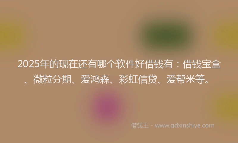 2025年的现在还有哪个软件好借钱有：借钱宝盒、微粒分期、爱鸿森、彩虹信贷、爱帮米等。