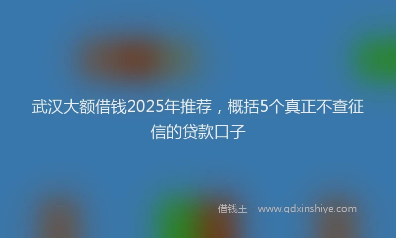 武汉大额借钱2025年推荐，概括5个真正不查征信的贷款口子