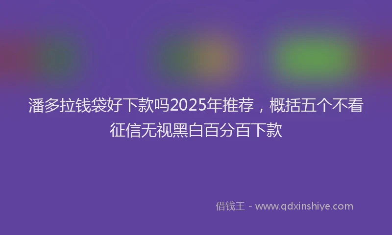 潘多拉钱袋好下款吗2025年推荐，概括五个不看征信无视黑白百分百下款