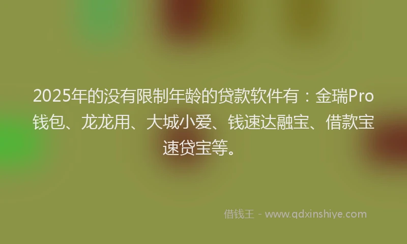 2025年的没有限制年龄的贷款软件有：金瑞Pro钱包、龙龙用、大城小爱、钱速达融宝、借款宝速贷宝等。