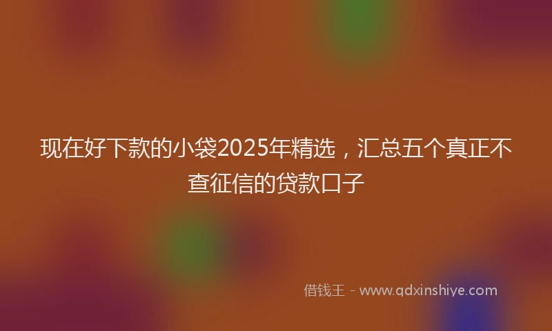 现在好下款的小袋2025年精选，汇总五个真正不查征信的贷款口子
