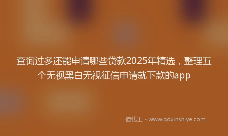 查询过多还能申请哪些贷款2025年精选，整理五个无视黑白无视征信申请就下款的app