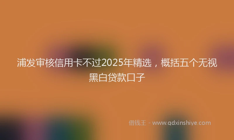 浦发审核信用卡不过2025年精选，概括五个无视黑白贷款口子