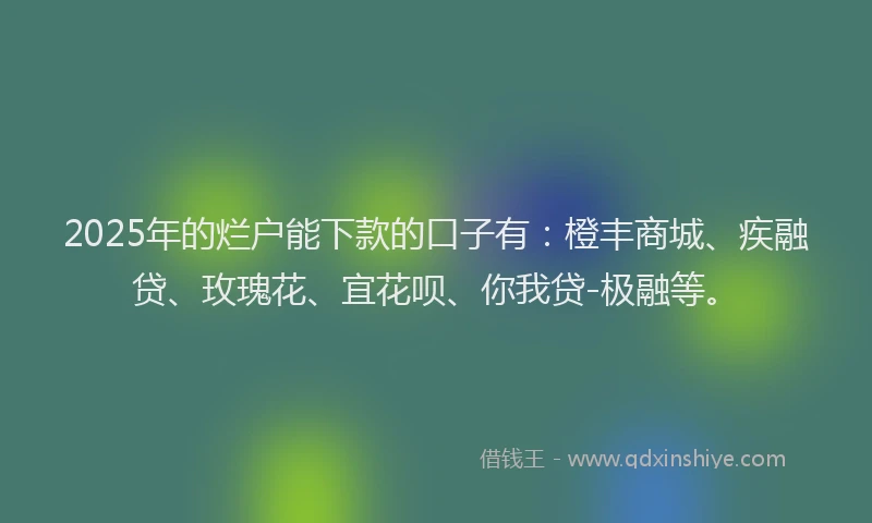 2025年的烂户能下款的口子有：橙丰商城、疾融贷、玫瑰花、宜花呗、你我贷-极融等。
