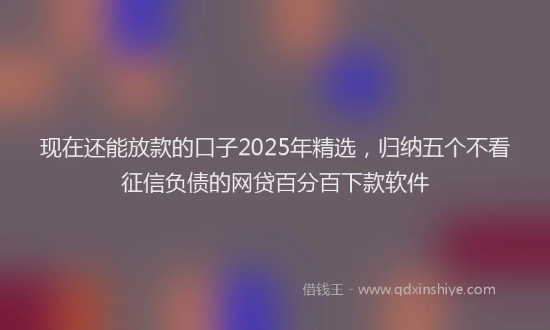 现在还能放款的口子2025年精选，归纳五个不看征信负债的网贷百分百下款软件