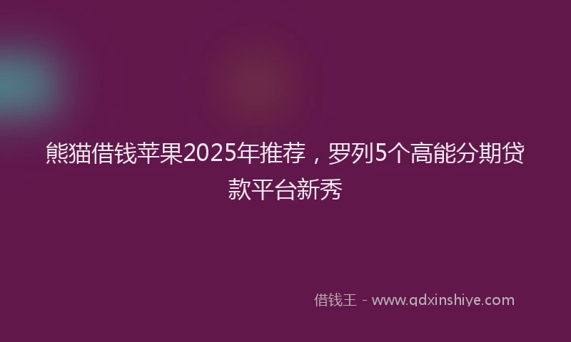 熊猫借钱苹果2025年推荐，罗列5个高能分期贷款平台新秀