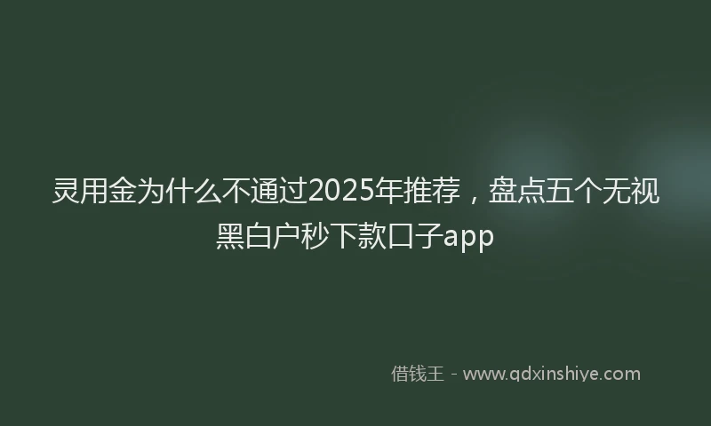 灵用金为什么不通过2025年推荐，盘点五个无视黑白户秒下款口子app