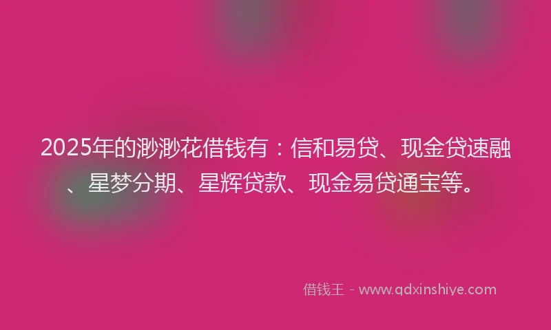 2025年的渺渺花借钱有：信和易贷、现金贷速融、星梦分期、星辉贷款、现金易贷通宝等。