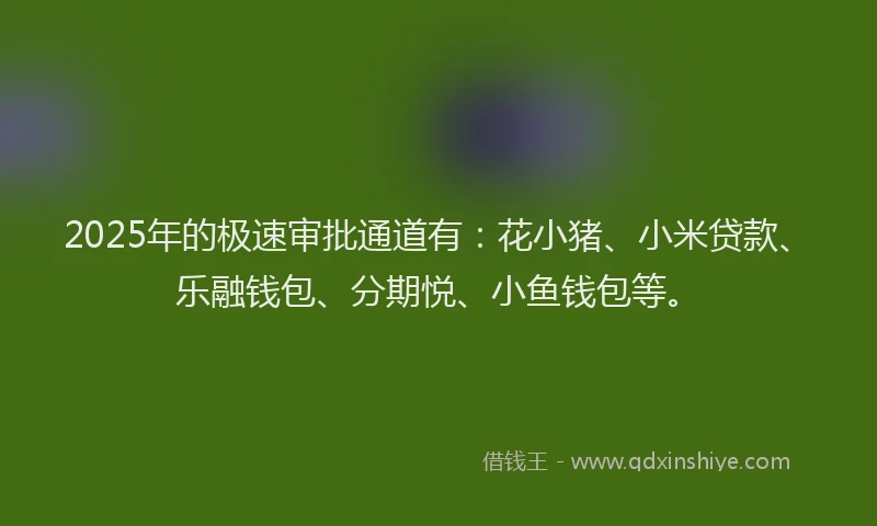 2025年的极速审批通道有：花小猪、小米贷款、乐融钱包、分期悦、小鱼钱包等。