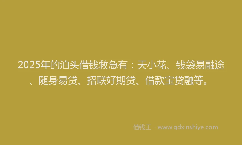2025年的泊头借钱救急有：天小花、钱袋易融途、随身易贷、招联好期贷、借款宝贷融等。