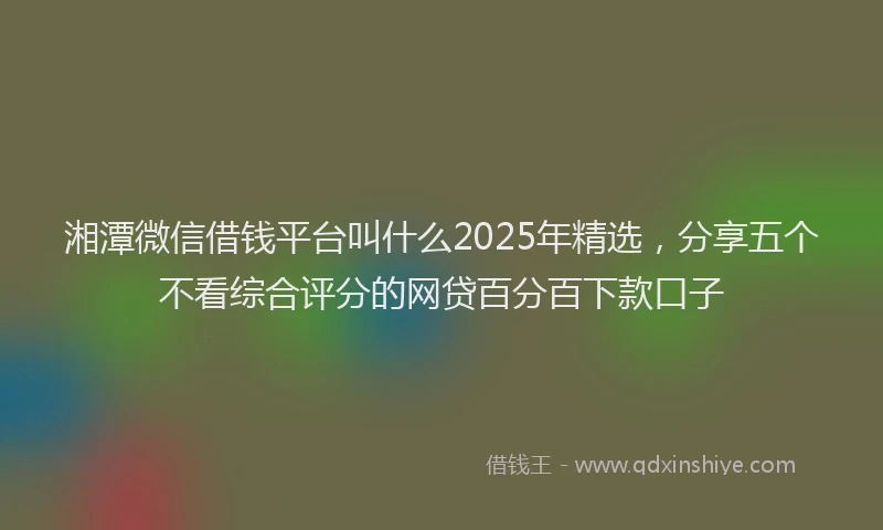 湘潭微信借钱平台叫什么2025年精选，分享五个不看综合评分的网贷百分百下款口子