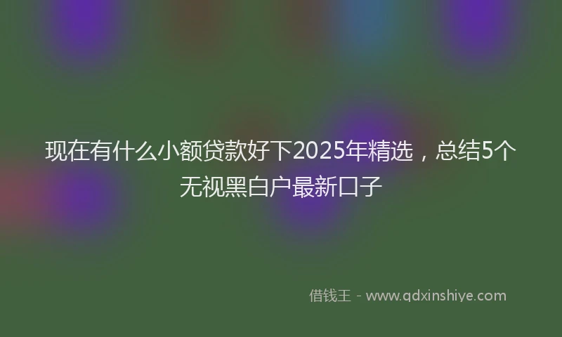 现在有什么小额贷款好下2025年精选，总结5个无视黑白户最新口子