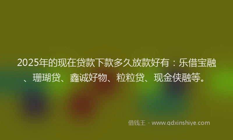 2025年的现在贷款下款多久放款好有：乐借宝融、珊瑚贷、鑫诚好物、粒粒贷、现金侠融等。