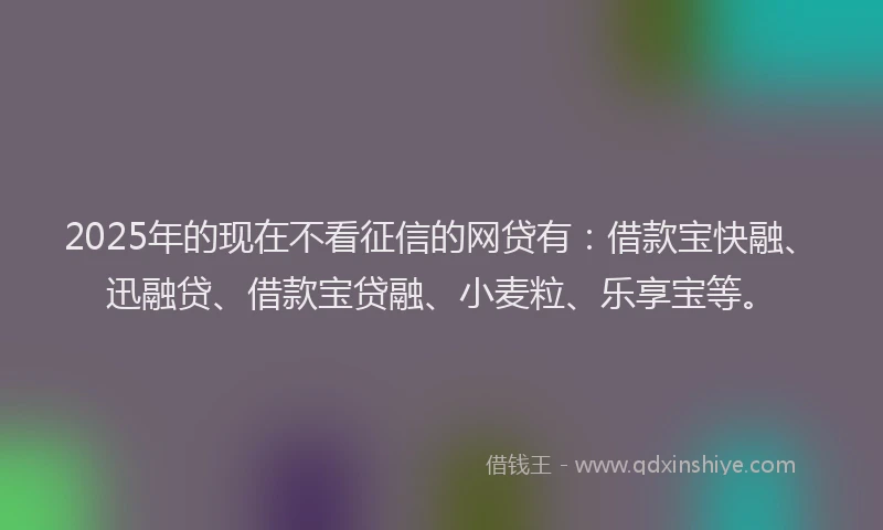2025年的现在不看征信的网贷有：借款宝快融、迅融贷、借款宝贷融、小麦粒、乐享宝等。