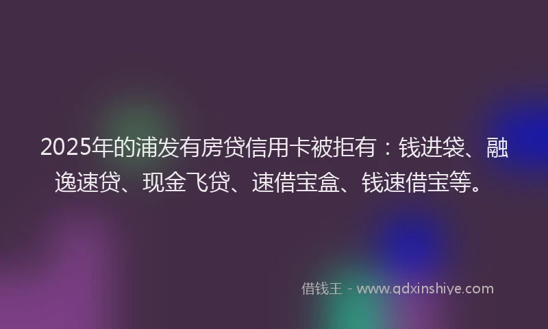 2025年的浦发有房贷信用卡被拒有：钱进袋、融逸速贷、现金飞贷、速借宝盒、钱速借宝等。