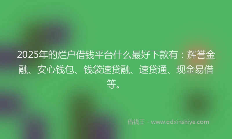 2025年的烂户借钱平台什么最好下款有：辉誉金融、安心钱包、钱袋速贷融、速贷通、现金易借等。
