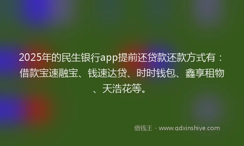 2025年的民生银行app提前还贷款还款方式有：借款宝速融宝、钱速达贷、时时钱包、鑫享租物、天浩花等。