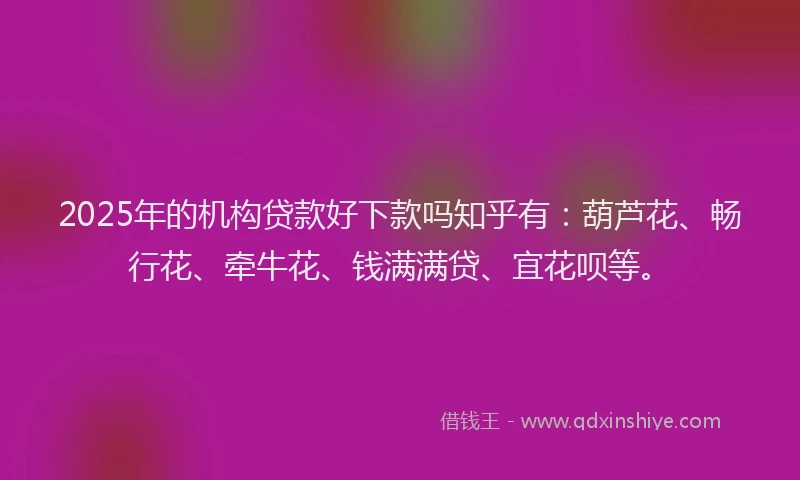 2025年的机构贷款好下款吗知乎有：葫芦花、畅行花、牵牛花、钱满满贷、宜花呗等。