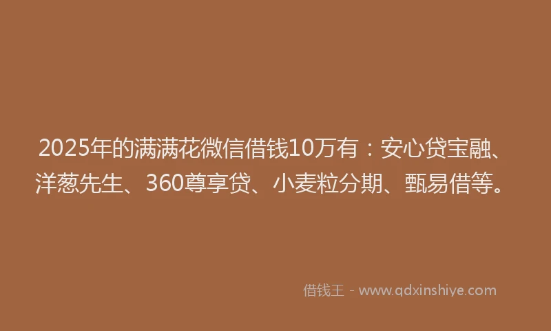 2025年的满满花微信借钱10万有：安心贷宝融、洋葱先生、360尊享贷、小麦粒分期、甄易借等。