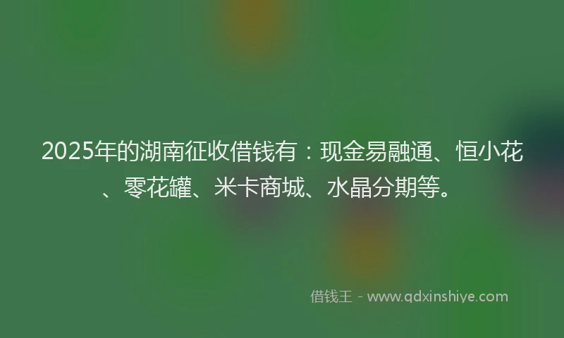 2025年的湖南征收借钱有：现金易融通、恒小花、零花罐、米卡商城、水晶分期等。