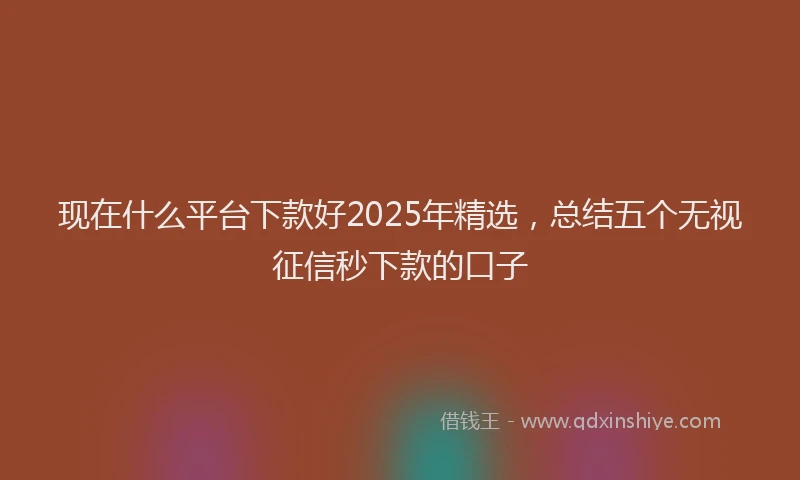 现在什么平台下款好2025年精选，总结五个无视征信秒下款的口子