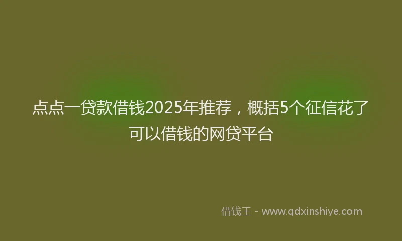 点点一贷款借钱2025年推荐，概括5个征信花了可以借钱的网贷平台