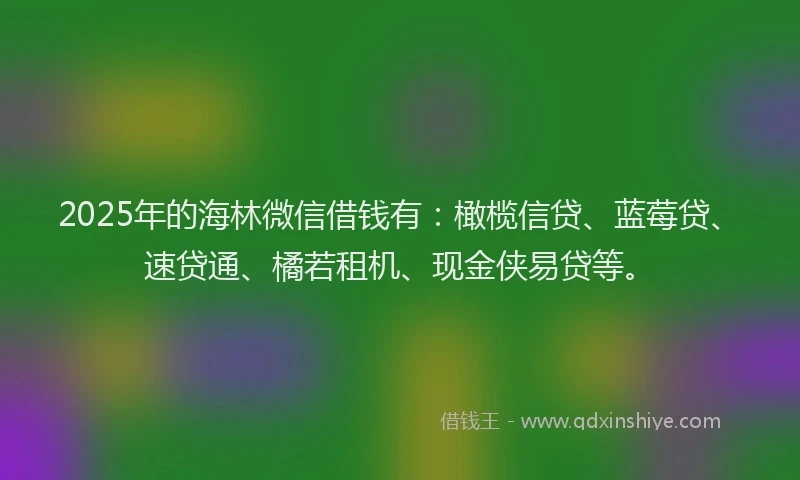 2025年的海林微信借钱有：橄榄信贷、蓝莓贷、速贷通、橘若租机、现金侠易贷等。