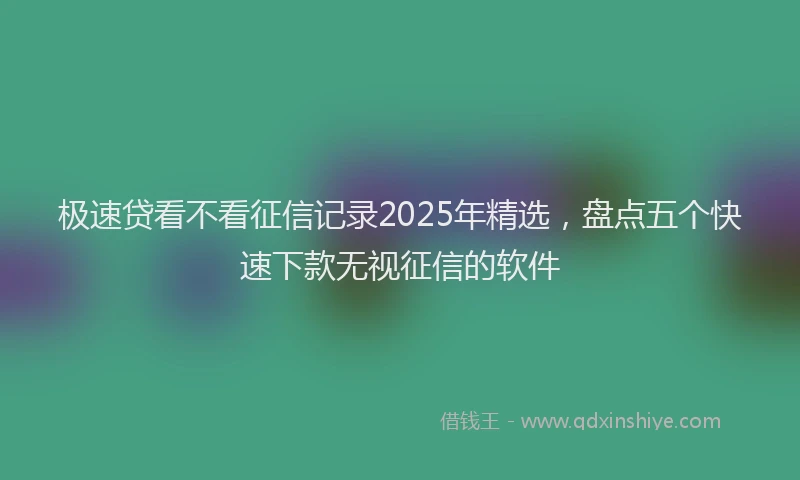 极速贷看不看征信记录2025年精选，盘点五个快速下款无视征信的软件