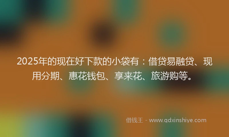 2025年的现在好下款的小袋有：借贷易融贷、现用分期、惠花钱包、享来花、旅游购等。