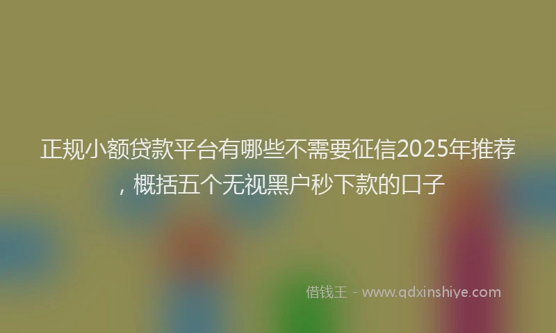 正规小额贷款平台有哪些不需要征信2025年推荐，概括五个无视黑户秒下款的口子