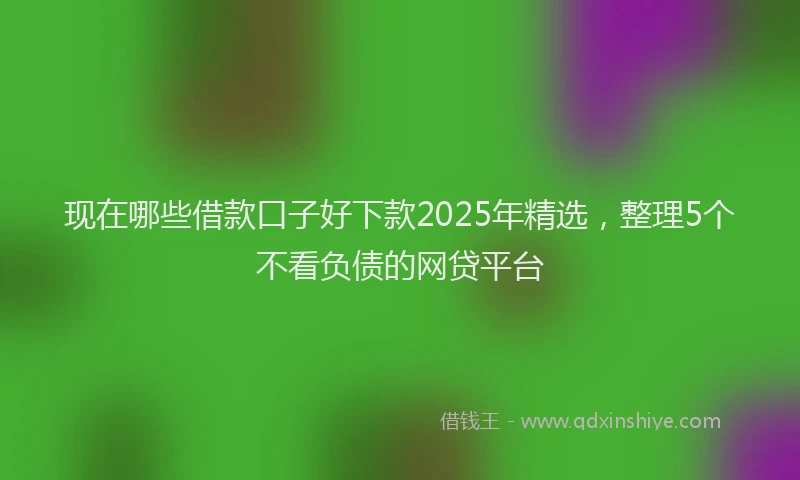 现在哪些借款口子好下款2025年精选，整理5个不看负债的网贷平台