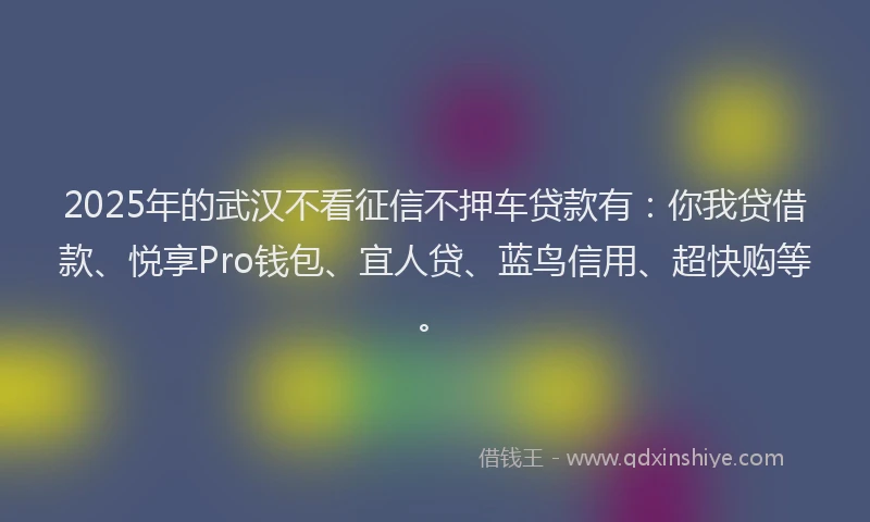 2025年的武汉不看征信不押车贷款有：你我贷借款、悦享Pro钱包、宜人贷、蓝鸟信用、超快购等。