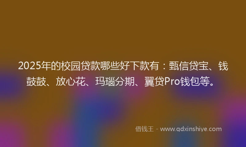 2025年的校园贷款哪些好下款有：甄信贷宝、钱鼓鼓、放心花、玛瑙分期、翼贷Pro钱包等。