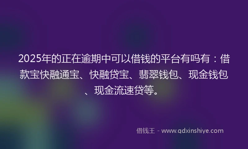 2025年的正在逾期中可以借钱的平台有吗有：借款宝快融通宝、快融贷宝、翡翠钱包、现金钱包、现金流速贷等。