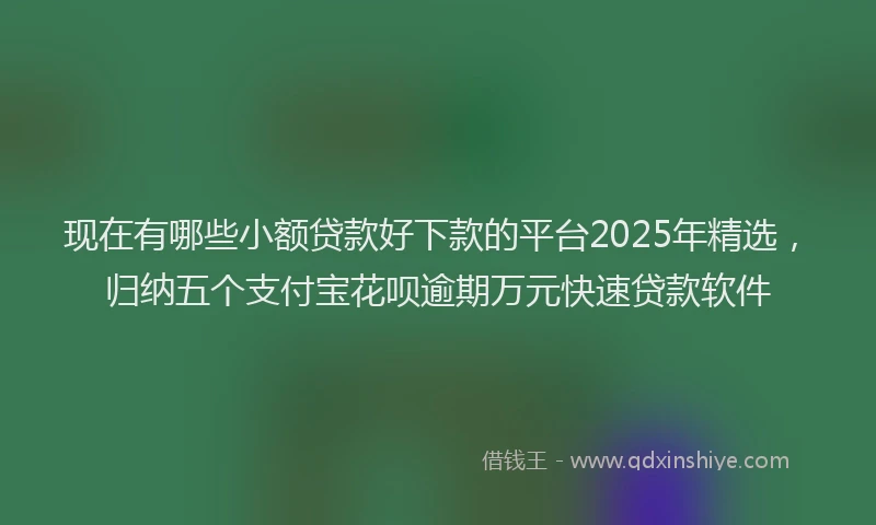 现在有哪些小额贷款好下款的平台2025年精选，归纳五个支付宝花呗逾期万元快速贷款软件