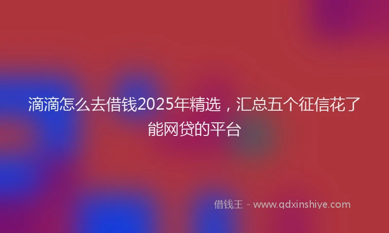 滴滴怎么去借钱2025年精选，汇总五个征信花了能网贷的平台