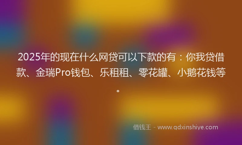 2025年的现在什么网贷可以下款的有：你我贷借款、金瑞Pro钱包、乐租租、零花罐、小鹅花钱等。