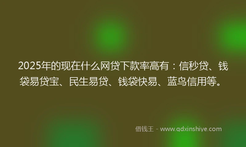 2025年的现在什么网贷下款率高有：信秒贷、钱袋易贷宝、民生易贷、钱袋快易、蓝鸟信用等。